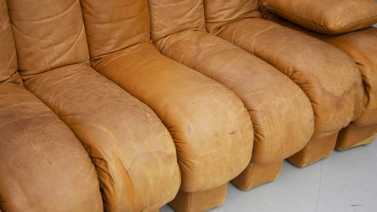 Endless De Sede DS 600 Non-Stop Sectional Sofa in Tobacco Leather 1