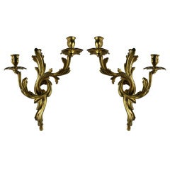 A Pair Of Louis XV Style Gilt Bronze 
Hand Burnished Sconces