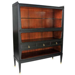 Large Italian Display / Bar Cabinet in Ebony and Palisander