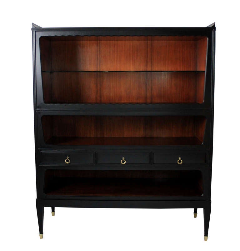 Large Italian Display / Bar Cabinet in Ebony and Palisander