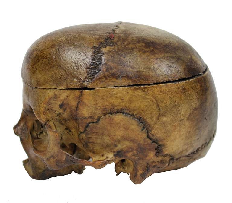 A Human skull or 'Memento Mori'. This has had the skull cap removed and refitted. There is also a trace of a wax seal to the top.