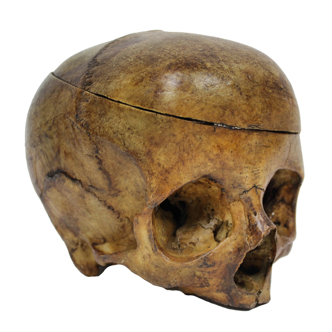 An 18th Century Memento Mori