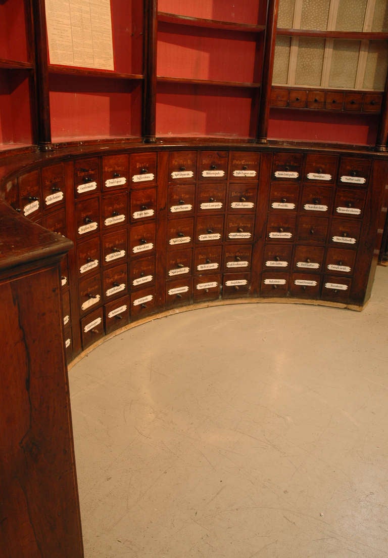 Empire Rare Herbalist's Shop Paneled Room From Colmar, Circa 1825