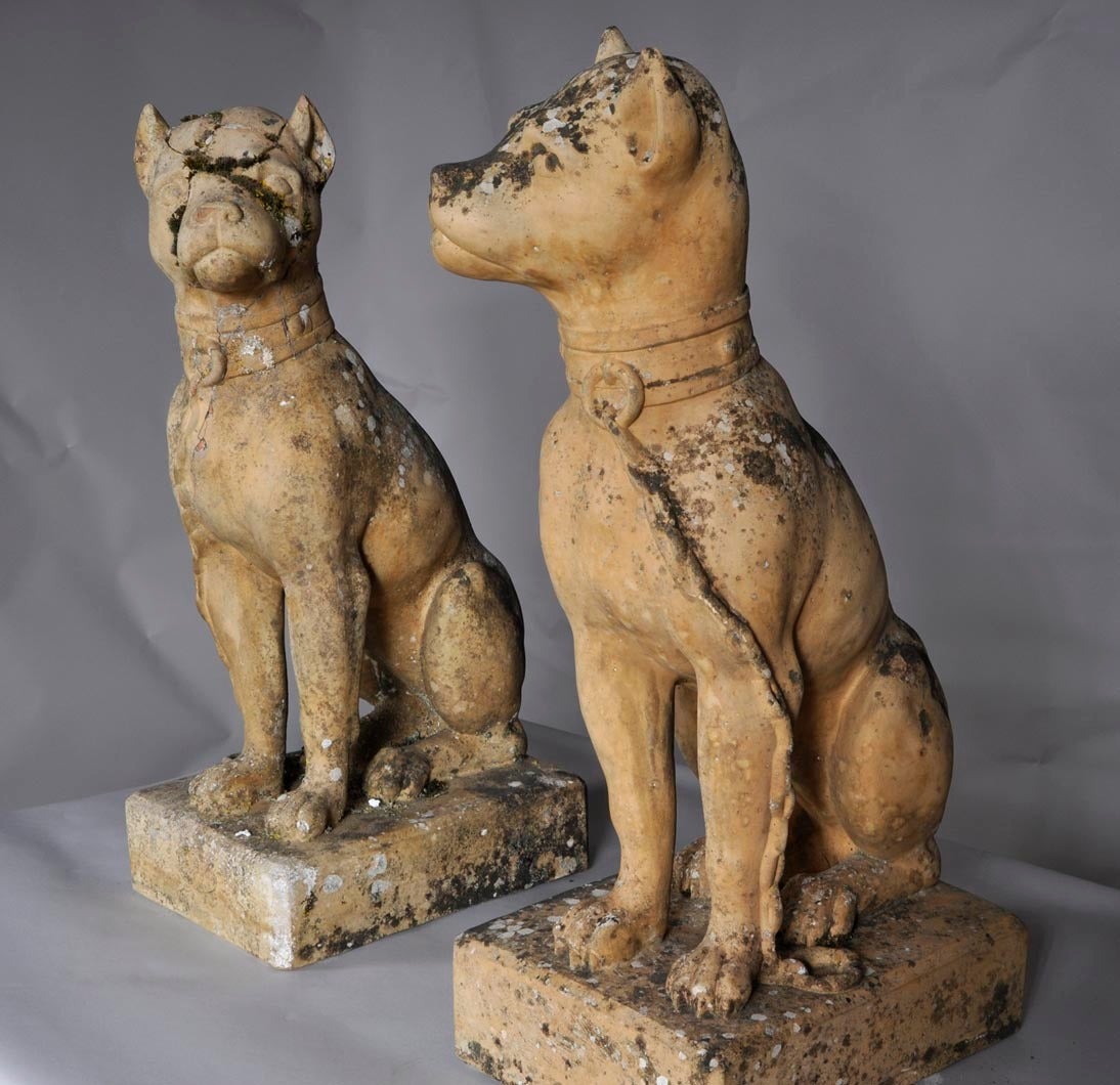 This pair of garden statues was made in Terracotta circa 1900 by the Bouat Manufacture in Castelnaudary. 
Made circa 1900, two bulldogs are represented. 
The stamp of the manufacture is visible on the base of statues. 
We have the original