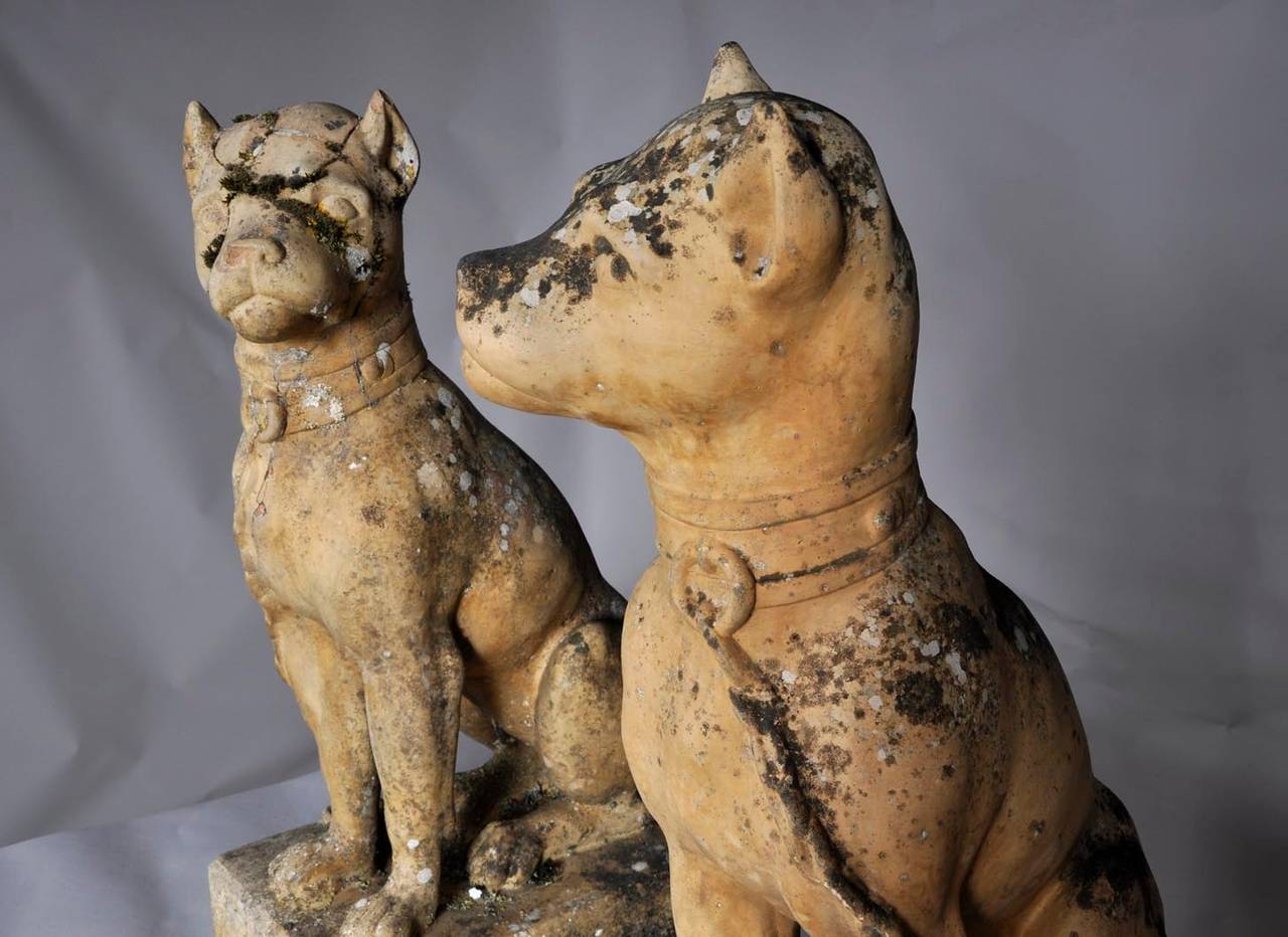 Belle Époque Pair of Terracotta Bulldogs by Bouat Manufacturer in Castelnaudary, circa 1900