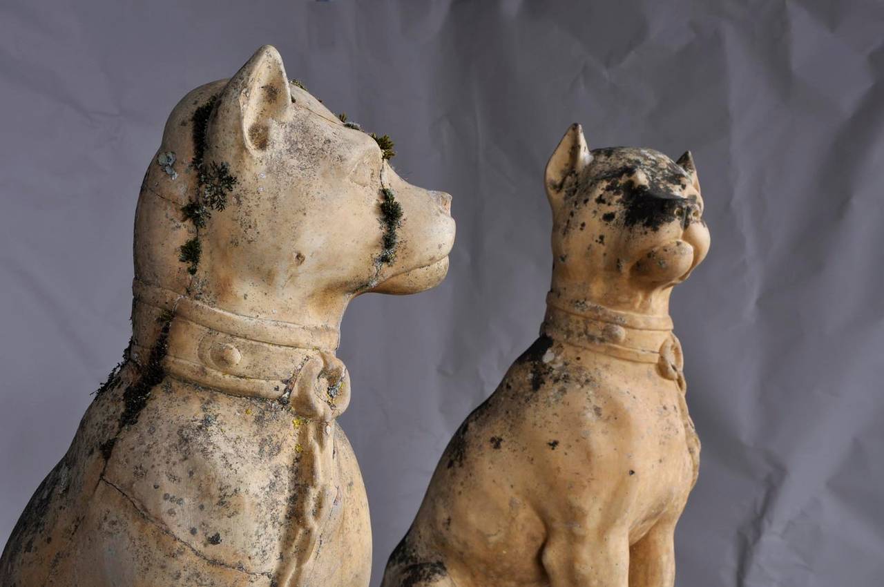 French Pair of Terracotta Bulldogs by Bouat Manufacturer in Castelnaudary, circa 1900