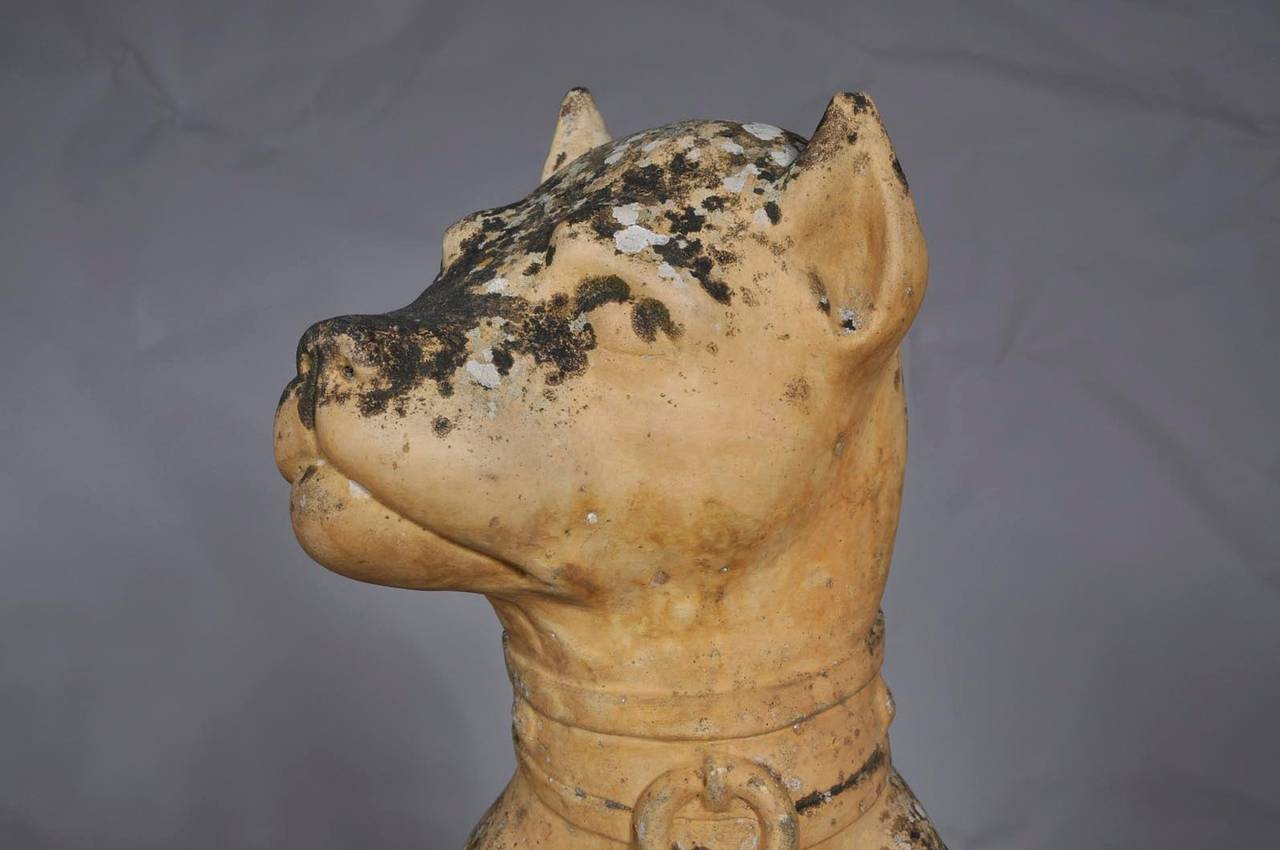 Pair of Terracotta Bulldogs by Bouat Manufacturer in Castelnaudary, circa 1900 In Good Condition In Saint Ouen, FR