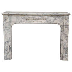 Antique Louis XVI style fireplace with laurel branches decoration, 19th century period.