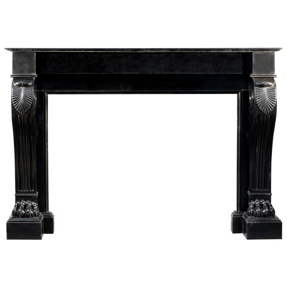 Napoleon III Style Fireplace with Black Belgian Marble Lion Paws