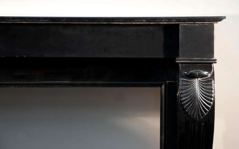 Napoleon III Style Fireplace with Black Belgian Marble Lion Paws 2