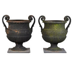 Pair of Garden Cast Iron Vases, Model by Anguier for the Versailles Palace