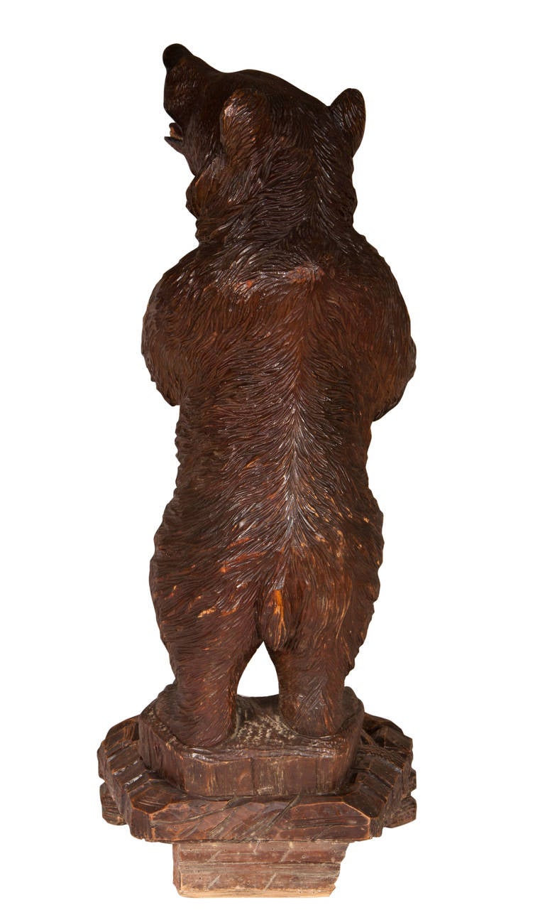 Black Forest Style Umbrella Holder in Bear Form, 19th Century 3