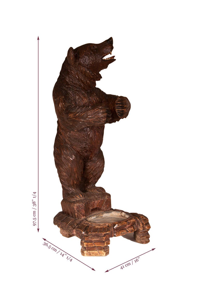 Black Forest Style Umbrella Holder in Bear Form, 19th Century 4