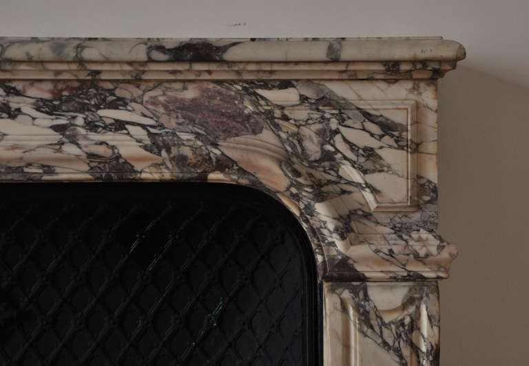 Antique Regence Style Fireplace in a Rare Breche Purple Marble, 19th Century 1