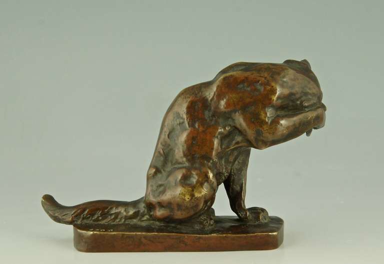 Romantic Antique Bronze of a Sitting Cat by Georges Gardet, France 1895