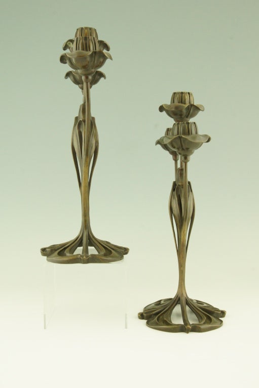 A pair of three-light candelabra with floral design by Georges de Feure. 

Pictures of these candelabra can be found in the following books: 
