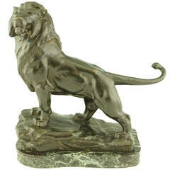 Antique Bronze Lion By Maurice Favre, France 1895.