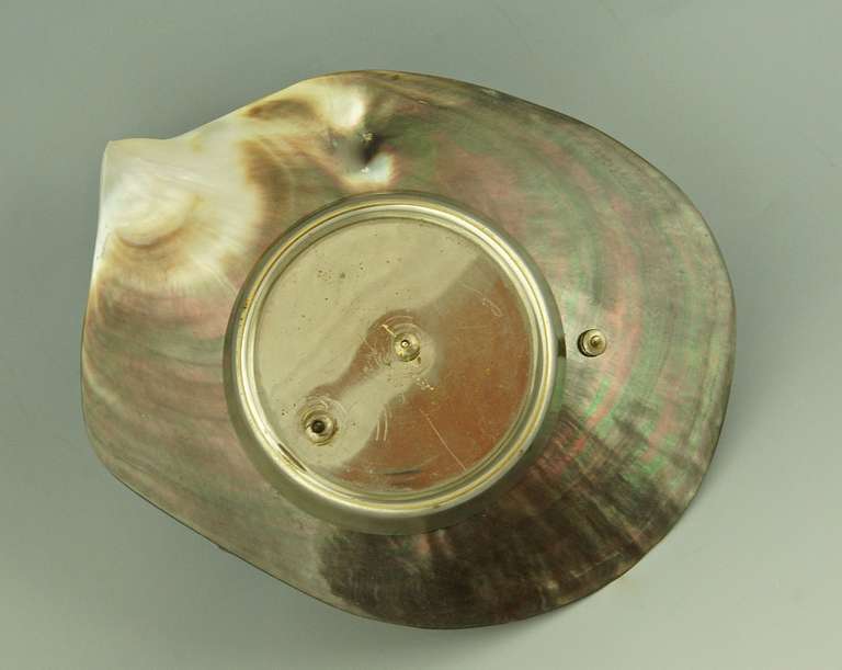Vienna Bronze Seashell Tray with Bird and an Egg Shell 4