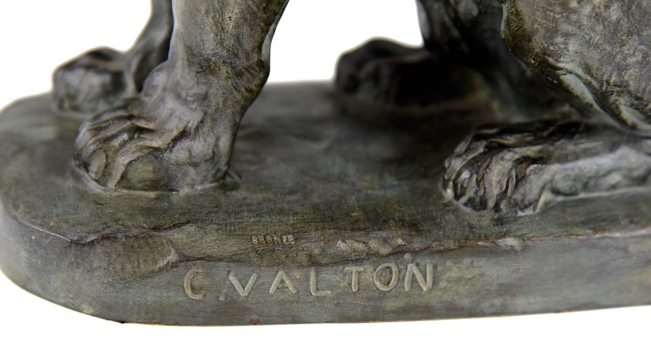 Sculpture française de panthère en bronze par Charles Valton:: 1910 1