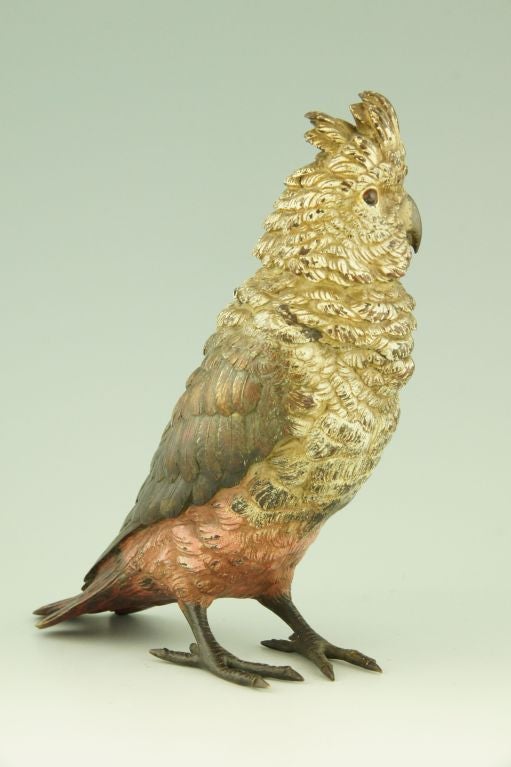 20th Century A cold painted Vienna bronze Cockatoo inkwell, H. 7 inch.