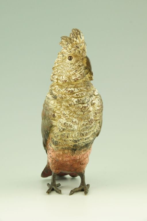 A cold painted Vienna bronze Cockatoo inkwell, H. 7 inch. 1