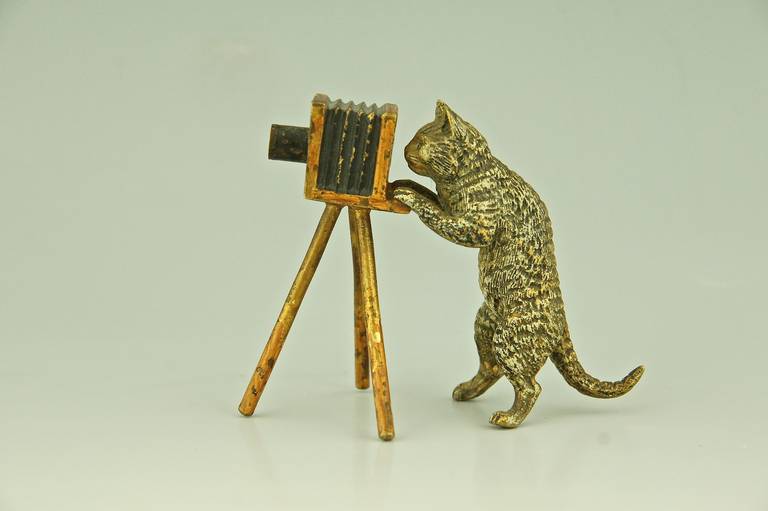Cold painted Vienna bronze of a cat as photographer.
Date:  1900.			
Material:  Cold painted bronze. 
Origin:  Vienna, Austria. 			
Size: 
H. 2.6 inch. x W. 1.8 inch. x L. 3.1 inch. 
H. 6.5 cm. x W. 4.5 cm. x L. 8 cm.  
Condition:  Good