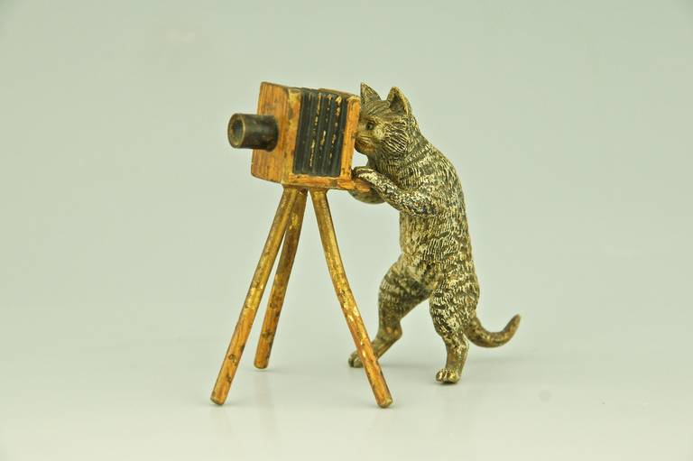 cold painted bronze cat