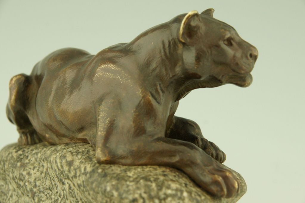 Antique Bronze of a Panther on a Rock by Masson 4