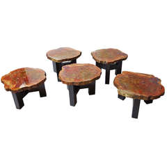 Set of Petrified Wood Pedestal Tables by Ado Chale