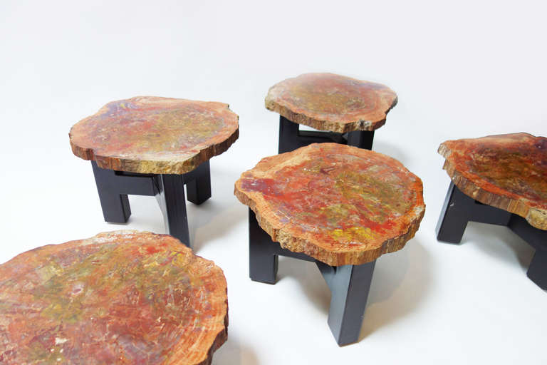 Belgian Set of Petrified Wood Pedestal Tables by Ado Chale