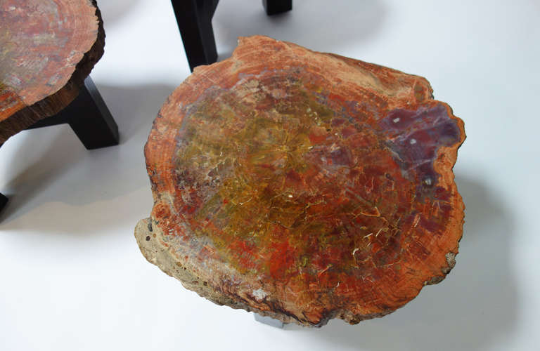 Set of Petrified Wood Pedestal Tables by Ado Chale In Excellent Condition In Brussels, BE