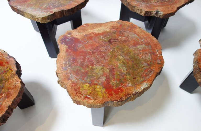 Late 20th Century Set of Petrified Wood Pedestal Tables by Ado Chale