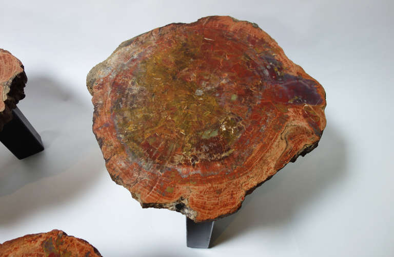 Set of Petrified Wood Pedestal Tables by Ado Chale 1