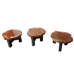 Set of Petrified Wood Pedestal Tables by Ado Chale
