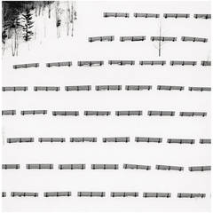 "Fifty Fences, Taisetsu, Hokkaido, Japan" by Michael Kenna. 3