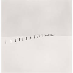 "Twenty One Fence Posts, Shirogane, Hokkaido" by Michael Kenna 1