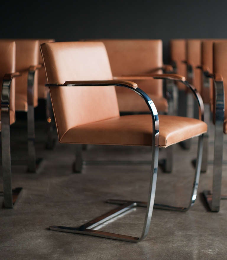 Chrome Set of 12 Knoll Brno chairs in original vintage Spinneybeck Saddle leather.