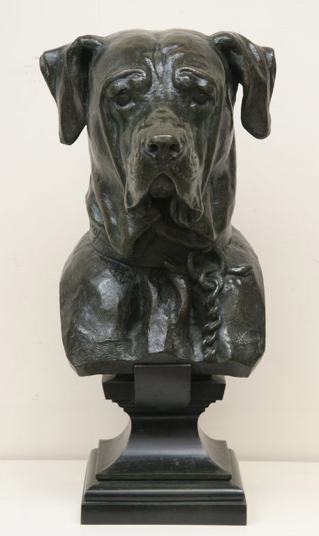 Magnifique buste de chien en bronze du sculpteur français Jean-Barnabé Amy, né en France en 1839 et mort à Paris en 1907.
Signé 