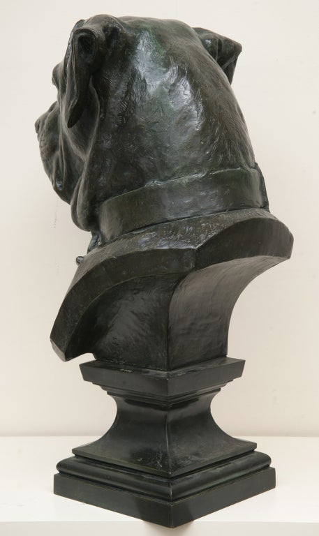 Français Magnifique buste de chien en bronze de grande taille par Jean Barnabé Amy, datant de 1876
