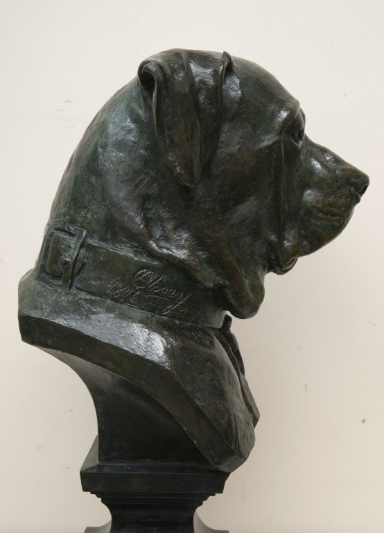 XIXe siècle Magnifique buste de chien en bronze de grande taille par Jean Barnabé Amy, datant de 1876
