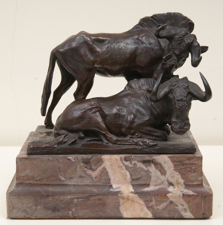 Very unusual bronze of a couple of White-Tailed Gnus by Josef Pallenberg. Dating around 1910. This sculpture has a very nice, warm brown patination and is mounted on a marble base.
Pallenberg was born in Germany in 1882 and died in 1946.
He made