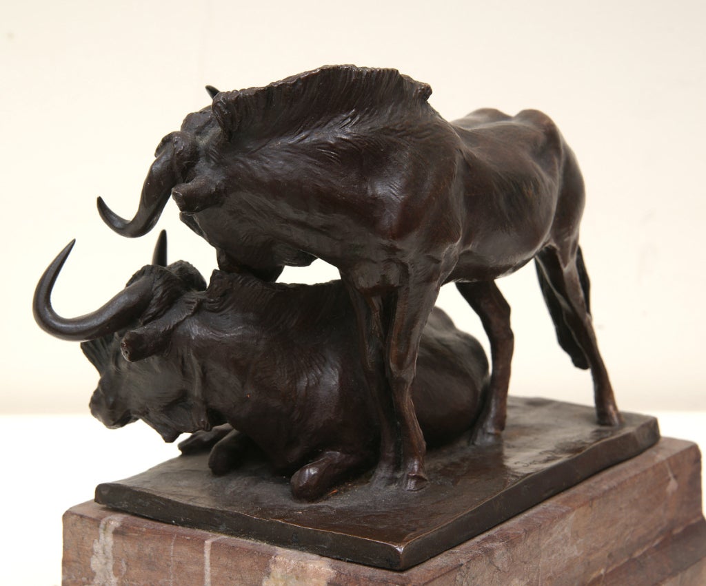 20th Century Unusual Bronze of White-Tailed Gnus by Josef  Pallenberg CA1910. For Sale
