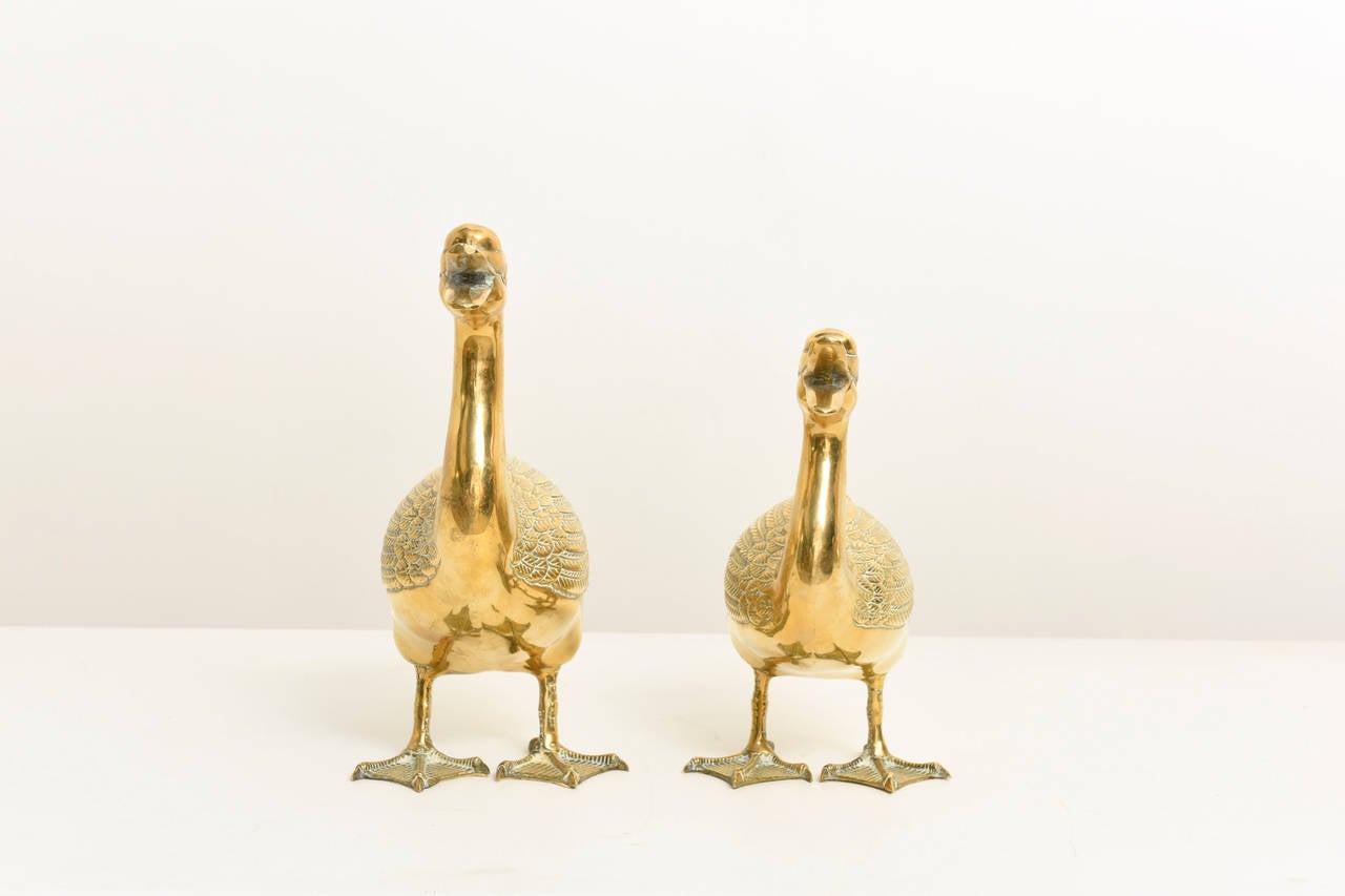 Pair of decorative polished brass ducks with patina.These large sculptures by Sarreid has a generous presence.It looks great on your coffee-table or sideboard.
Smaller,10