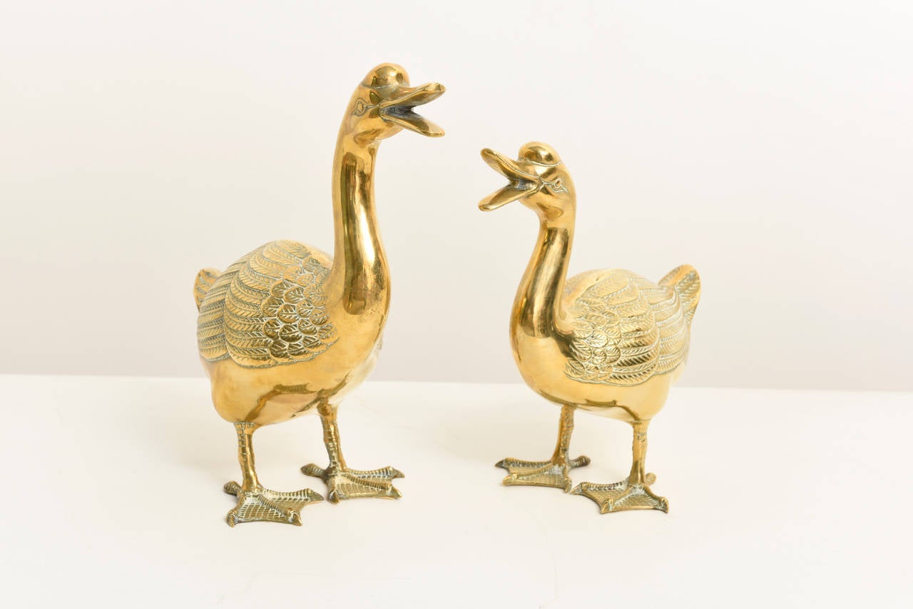 Polished Pair of Decorative Ducks 1970's.