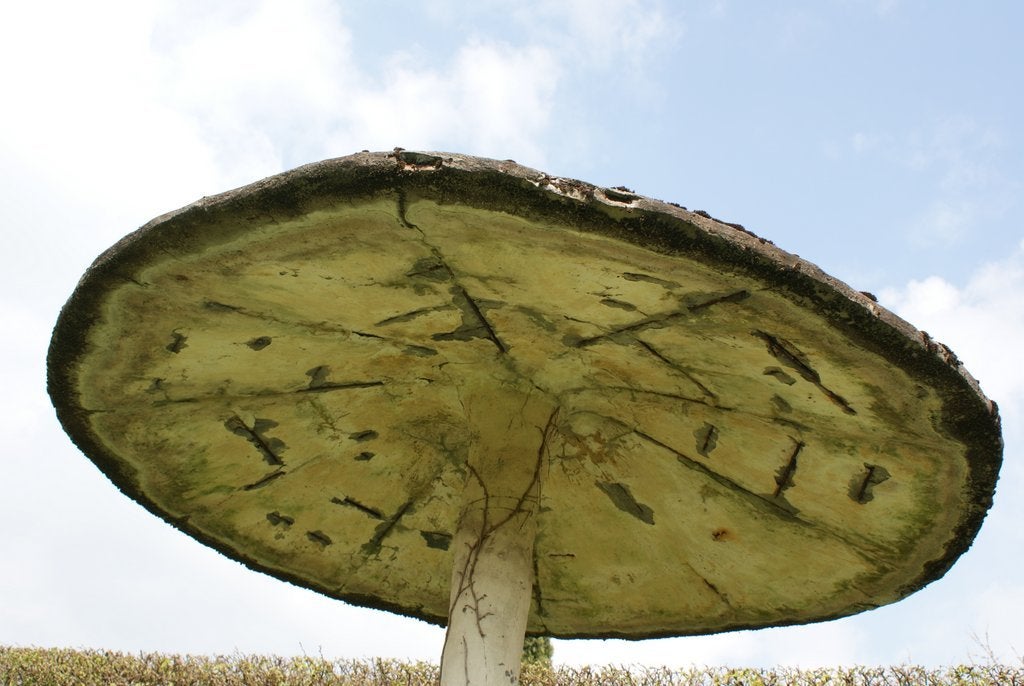 Concrete Huge Stone Umbrella Mushroom