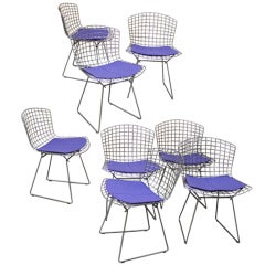 8 side chairs by Bertoia for Knoll