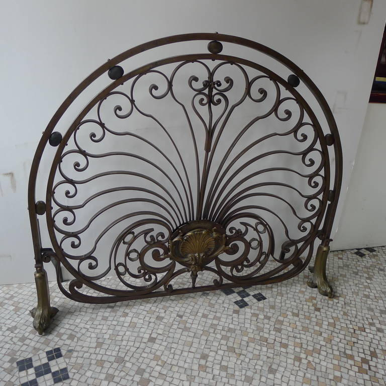 a fine forged iron Rococco fired screen with bronze details