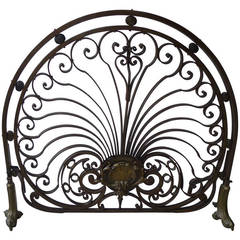 Antique a fine forged iron Rococco fired screen with bronze details