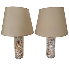 Pair of Lamps in Glass with Different Kinds of Shells