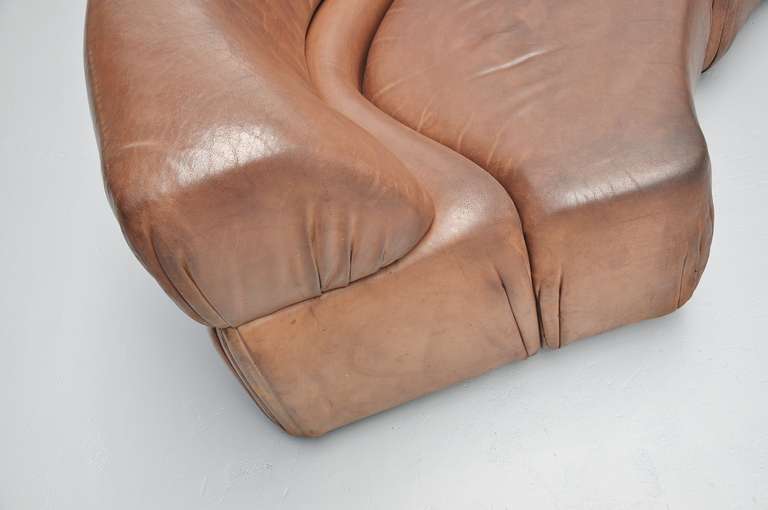 De Sede Cosmos Modular Sofa, Buffalo Leather, 1970 3